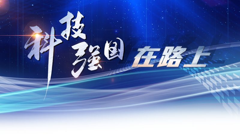 人工智能应用工具：揭秘批发价格背后的价值**