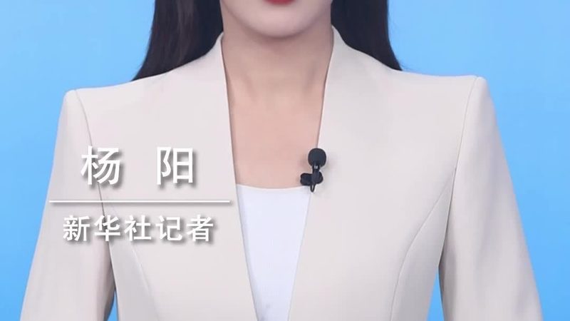 数据可视化工具API对接：核心原理与关键技术解析
